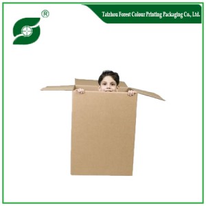 CORRUGATED PAPER BOX