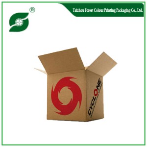 HEAVY DUTY COLOR PRINTED CORRUGATED SHIPPING BOX
